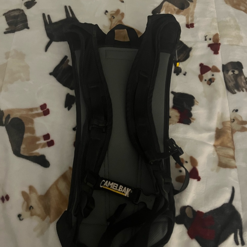 Camelback backpack - Picture 6 of 9